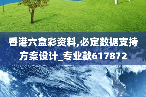 香港六盒彩资料,必定数据支持方案设计_专业款617872