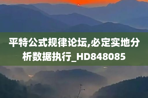 平特公式规律论坛,必定实地分析数据执行_HD848085