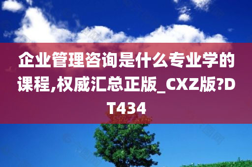 企业管理咨询是什么专业学的课程,权威汇总正版_CXZ版?DT434