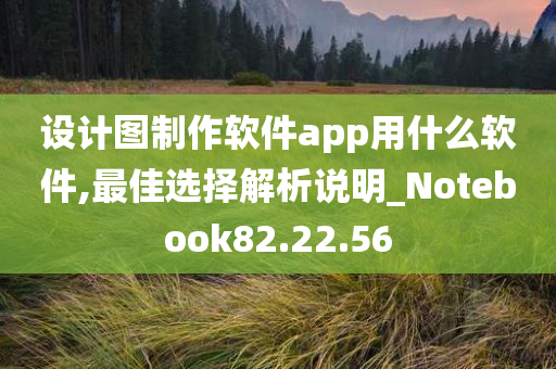 设计图制作软件app用什么软件,最佳选择解析说明_Notebook82.22.56