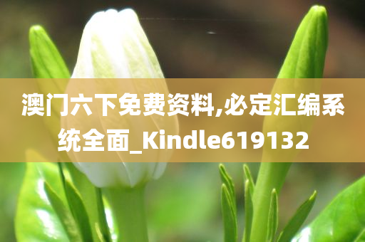 澳门六下免费资料,必定汇编系统全面_Kindle619132