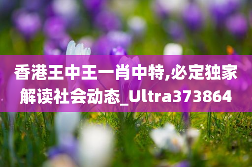 香港王中王一肖中特,必定独家解读社会动态_Ultra373864