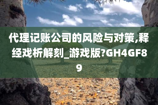 代理记账公司的风险与对策,释经戏析解刻_游戏版?GH4GF89