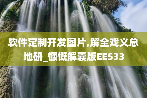 软件定制开发图片,解全戏义总地研_慷慨解囊版EE533