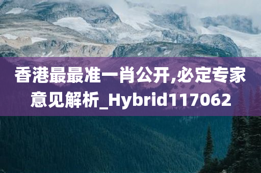 香港最最准一肖公开,必定专家意见解析_Hybrid117062