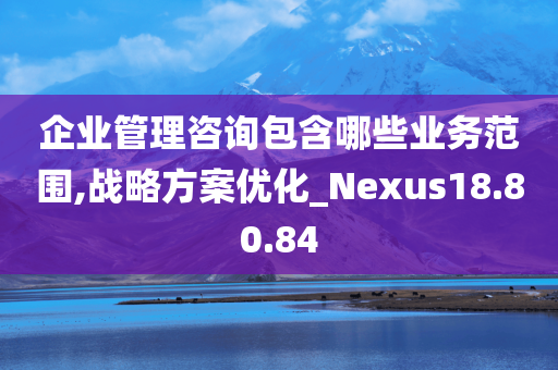 企业管理咨询包含哪些业务范围,战略方案优化_Nexus18.80.84