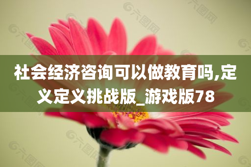 社会经济咨询可以做教育吗,定义定义挑战版_游戏版78