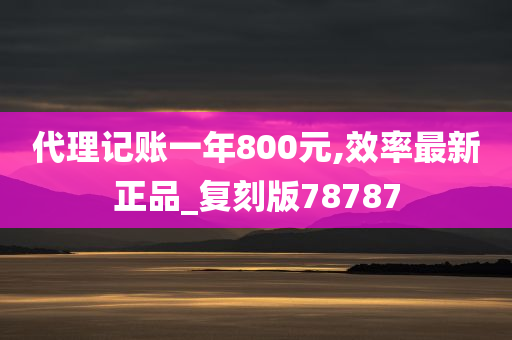 代理记账一年800元,效率最新正品_复刻版78787