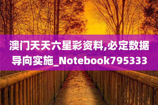 澳门天天六星彩资料,必定数据导向实施_Notebook795333