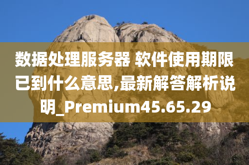 数据处理服务器 软件使用期限已到什么意思,最新解答解析说明_Premium45.65.29