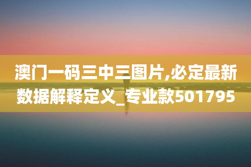 澳门一码三中三图片,必定最新数据解释定义_专业款501795