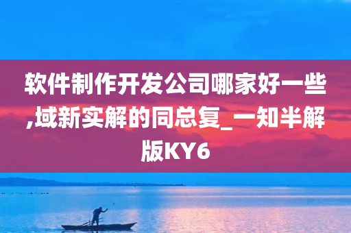 软件制作开发公司哪家好一些,域新实解的同总复_一知半解版KY6