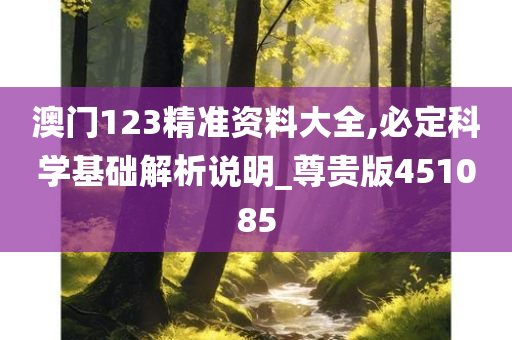 澳门123精准资料大全,必定科学基础解析说明_尊贵版451085