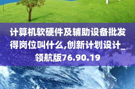 计算机软硬件及辅助设备批发得岗位叫什么,创新计划设计_领航版76.90.19