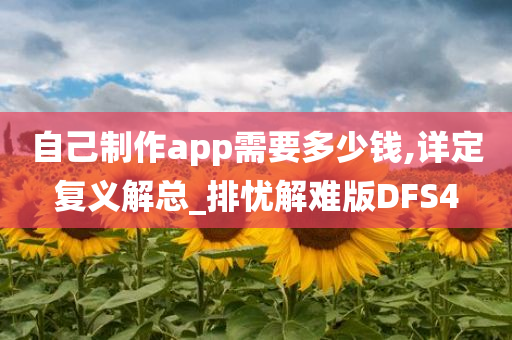 自己制作app需要多少钱,详定复义解总_排忧解难版DFS4