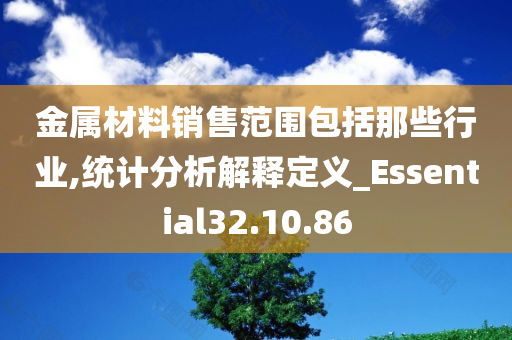 金属材料销售范围包括那些行业,统计分析解释定义_Essential32.10.86