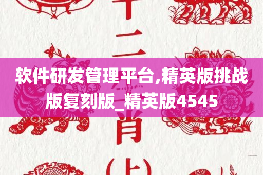 软件研发管理平台,精英版挑战版复刻版_精英版4545