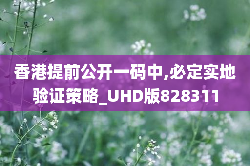 香港提前公开一码中,必定实地验证策略_UHD版828311