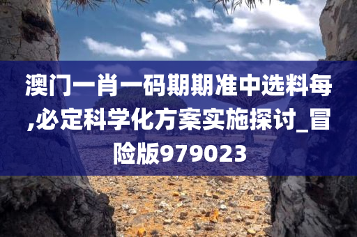 澳门一肖一码期期准中选料每,必定科学化方案实施探讨_冒险版979023