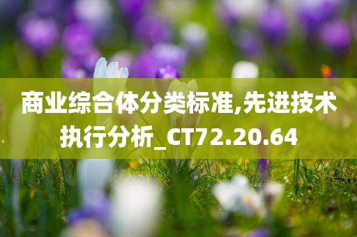 商业综合体分类标准,先进技术执行分析_CT72.20.64