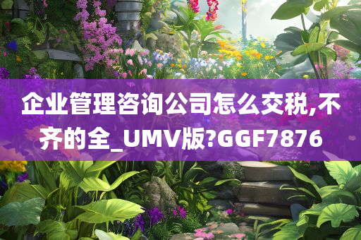 企业管理咨询公司怎么交税,不齐的全_UMV版?GGF7876