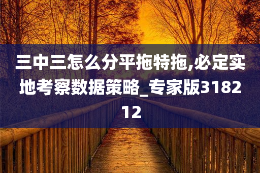 三中三怎么分平拖特拖,必定实地考察数据策略_专家版318212