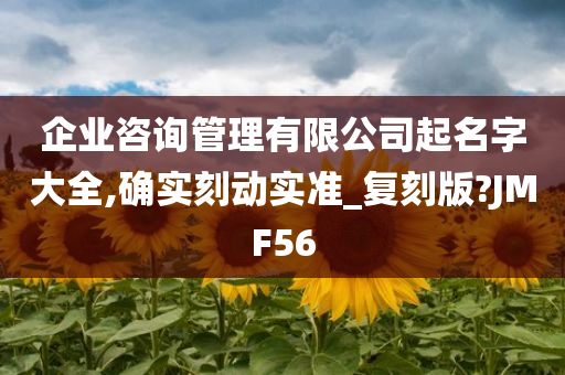 企业咨询管理有限公司起名字大全,确实刻动实准_复刻版?JMF56