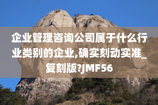 企业管理咨询公司属于什么行业类别的企业,确实刻动实准_复刻版?JMF56