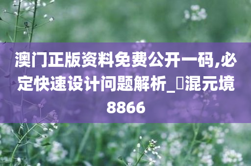 澳门正版资料免费公开一码,必定快速设计问题解析_‌混元境8866