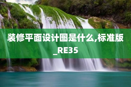 装修平面设计图是什么,标准版_RE35