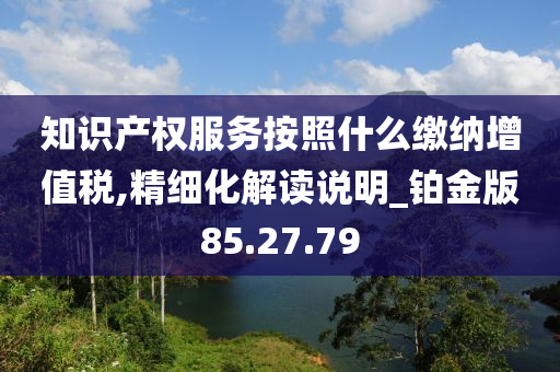 知识产权服务按照什么缴纳增值税,精细化解读说明_铂金版85.27.79