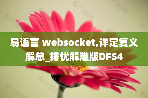 易语言 websocket,详定复义解总_排忧解难版DFS4