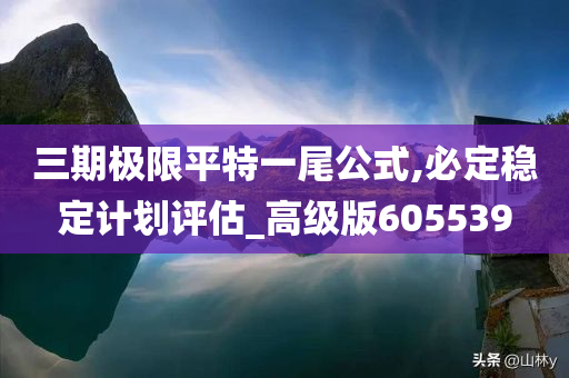 三期极限平特一尾公式,必定稳定计划评估_高级版605539