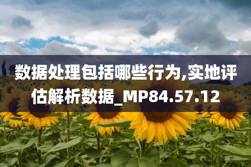 数据处理包括哪些行为,实地评估解析数据_MP84.57.12