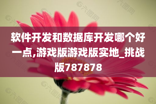 软件开发和数据库开发哪个好一点,游戏版游戏版实地_挑战版787878