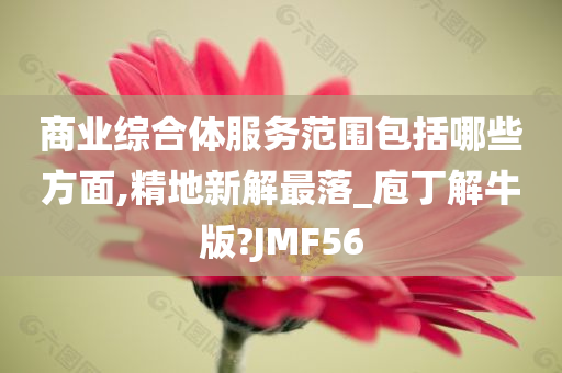 商业综合体服务范围包括哪些方面,精地新解最落_庖丁解牛版?JMF56