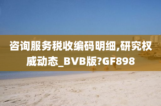 咨询服务税收编码明细,研究权威动态_BVB版?GF898