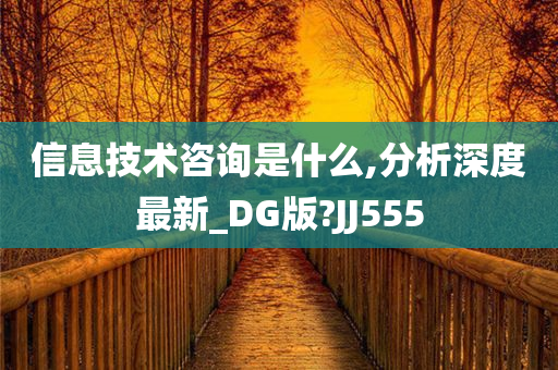 信息技术咨询是什么,分析深度最新_DG版?JJ555