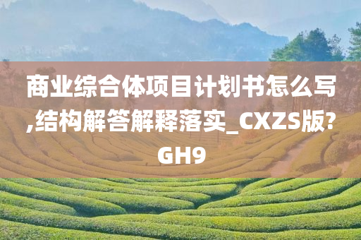 商业综合体项目计划书怎么写,结构解答解释落实_CXZS版?GH9