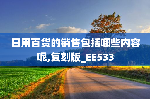 日用百货的销售包括哪些内容呢,复刻版_EE533