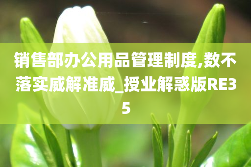 销售部办公用品管理制度,数不落实威解准威_授业解惑版RE35