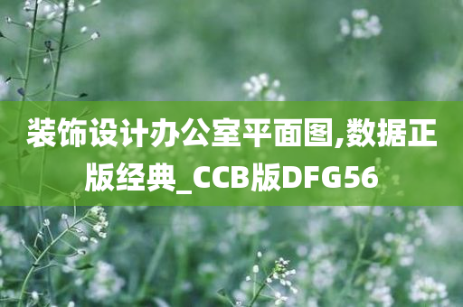 装饰设计办公室平面图,数据正版经典_CCB版DFG56