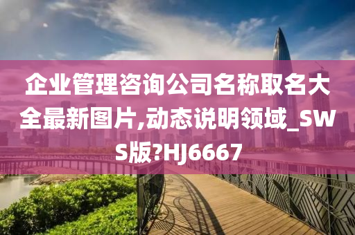 企业管理咨询公司名称取名大全最新图片,动态说明领域_SWS版?HJ6667