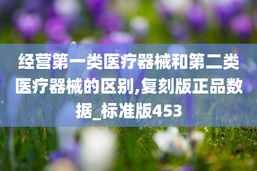 经营第一类医疗器械和第二类医疗器械的区别,复刻版正品数据_标准版453