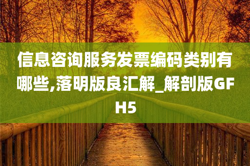 信息咨询服务发票编码类别有哪些,落明版良汇解_解剖版GFH5