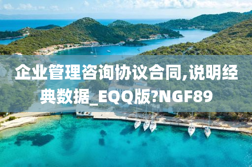 企业管理咨询协议合同,说明经典数据_EQQ版?NGF89