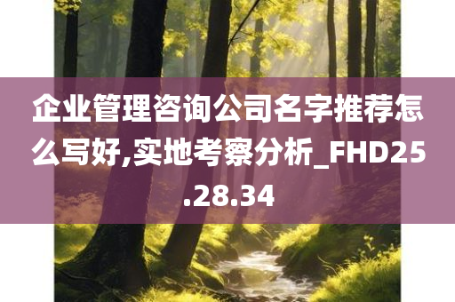 企业管理咨询公司名字推荐怎么写好,实地考察分析_FHD25.28.34