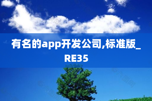 有名的app开发公司,标准版_RE35