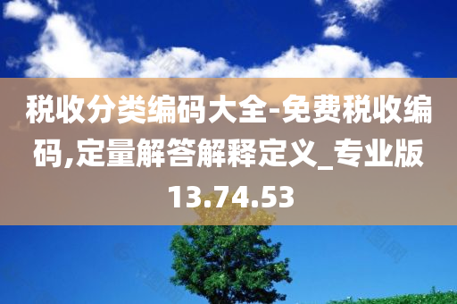 税收分类编码大全-免费税收编码,定量解答解释定义_专业版13.74.53