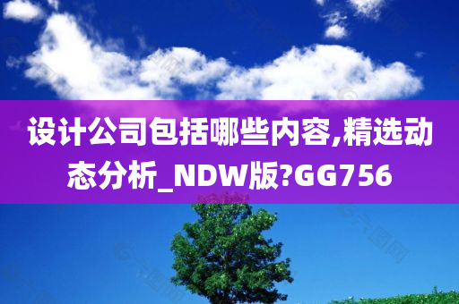 设计公司包括哪些内容,精选动态分析_NDW版?GG756